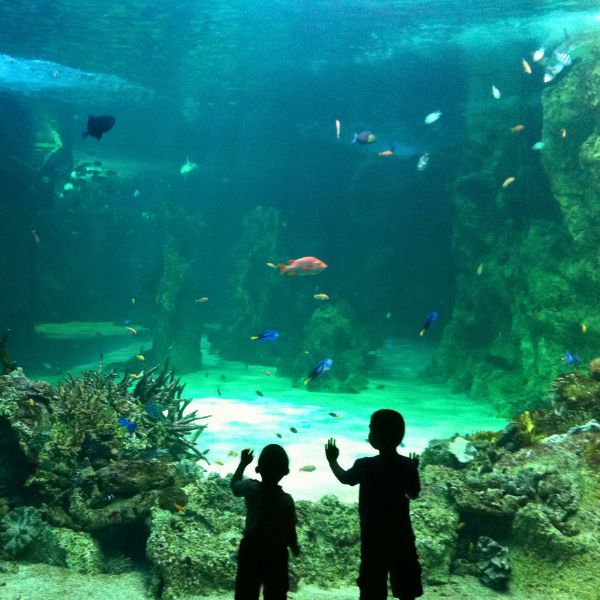 Family Friendly Attractions.jpg