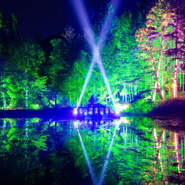 The Enchanted Forest.jpg