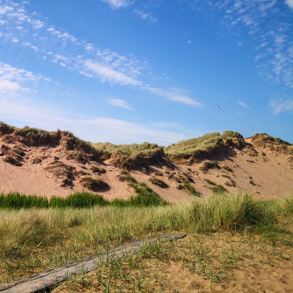 Aberdeen Beaches.jpg