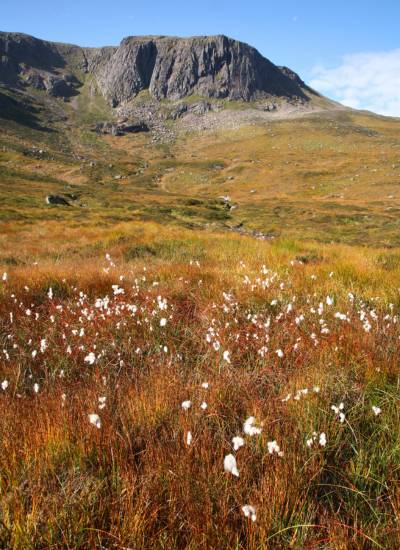 Cairngorms National Park.jpg