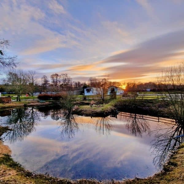 Holiday Homes in Aberdeenshire - Duck Pond.jpg