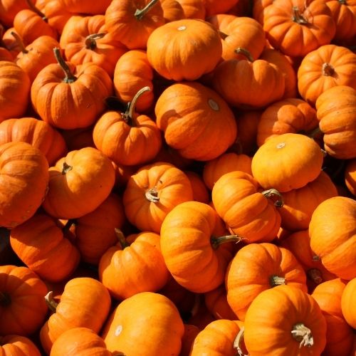 Arnprior_Pumpkins.jpg