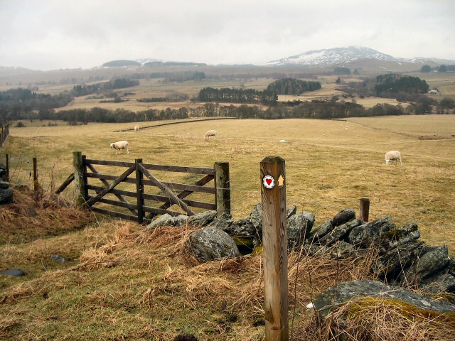 The Cateran Trail.jpg