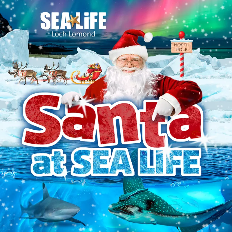 santa-at-sealife-2025-1080x1080-loch-lomond-4.webp