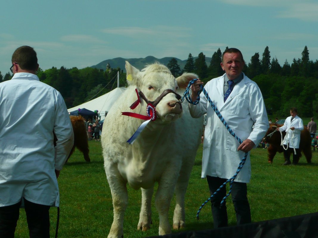 Lomond_show.jpg
