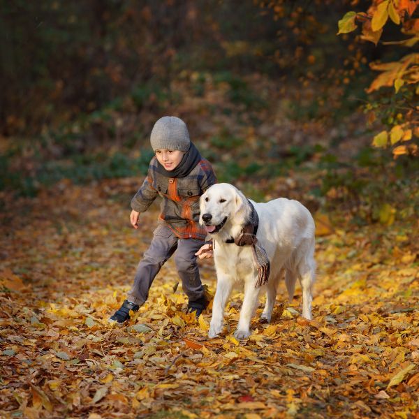 Pet Friendly Holidays.jpg