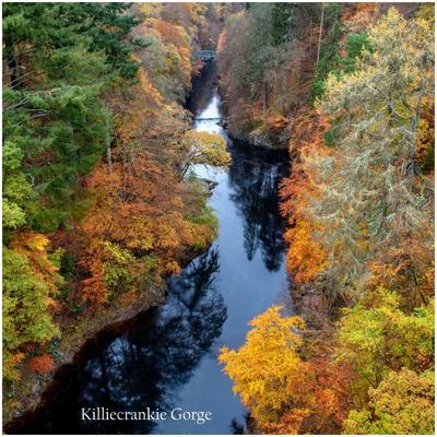 Killiecrankie Gorge.jpg
