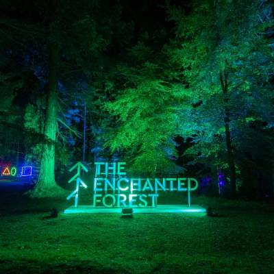 Visit The Enchanted Forest