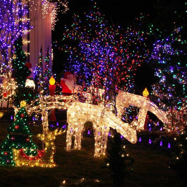 Christmas Lights