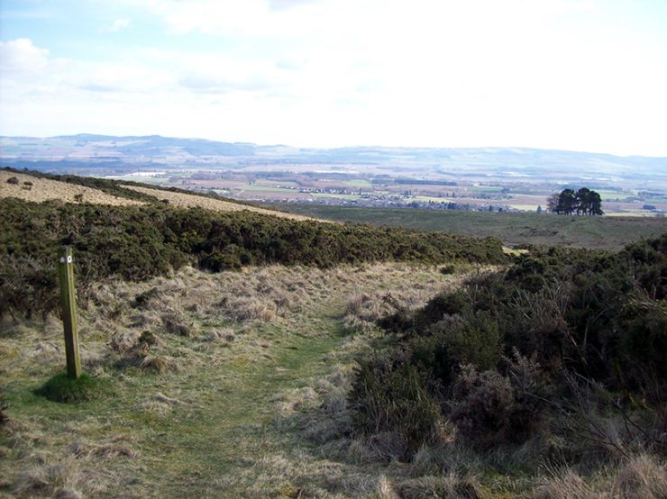 Drimmie Woods Blairgowrie.jpg