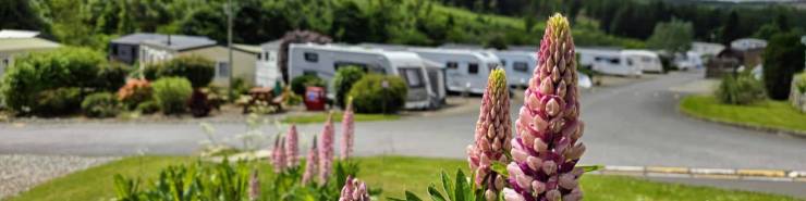Seasonal Caravan Pitches in Scotland | Wood Leisure