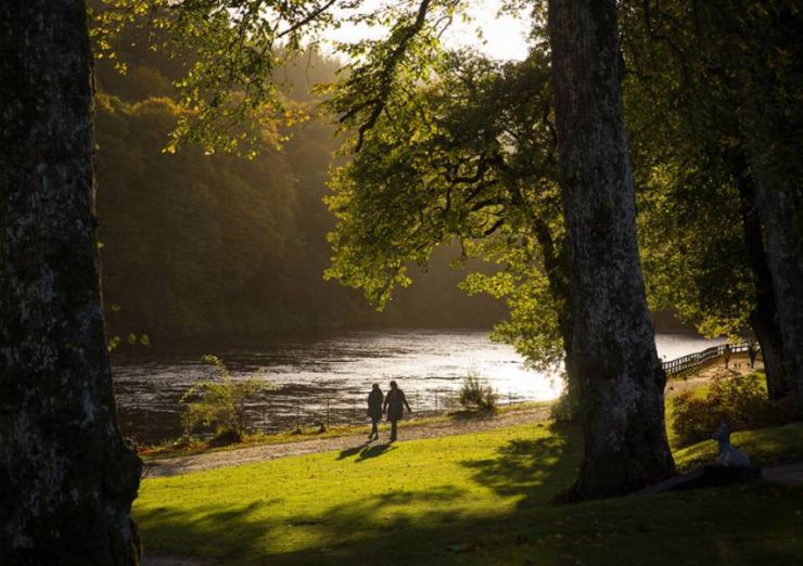 Dunkeld House Tree Trail.jpg