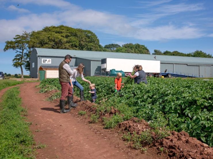 Westerton Farmers.jpg