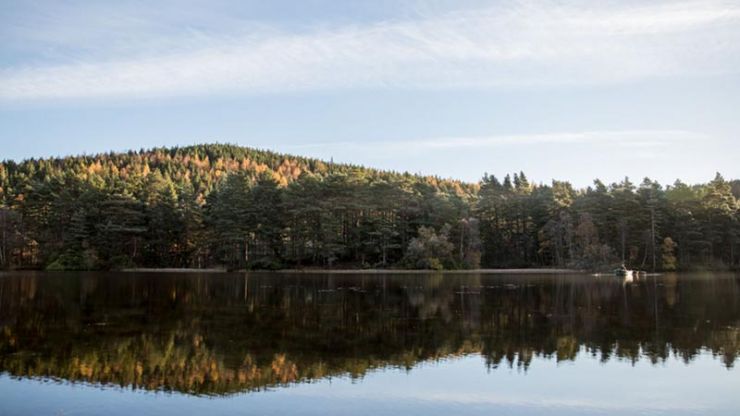 Glen Tanar.jpg