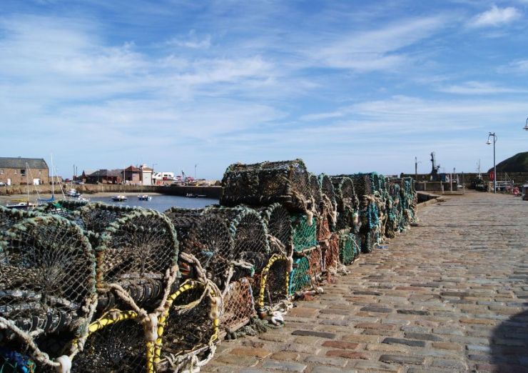 Stonehaven Harbour.jpg