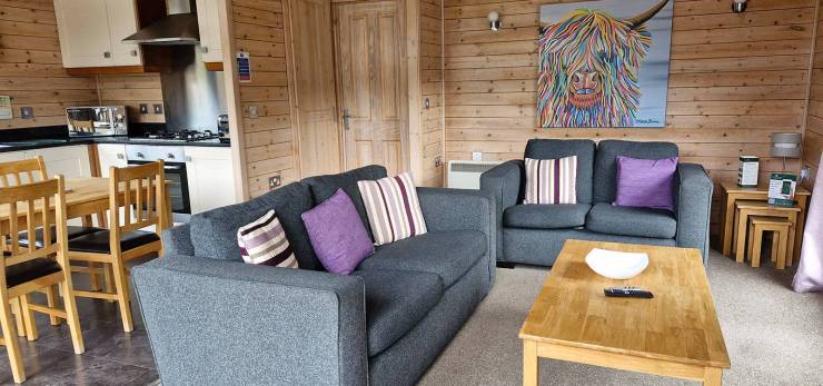 2007 Pinelog Lodge For Sale | Lomond Woods Holiday Park