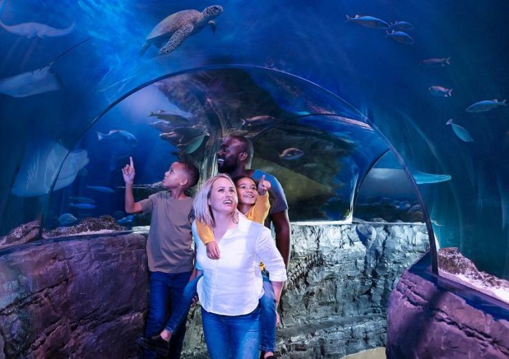 Sea Life Centre Loch Lomond.jpg