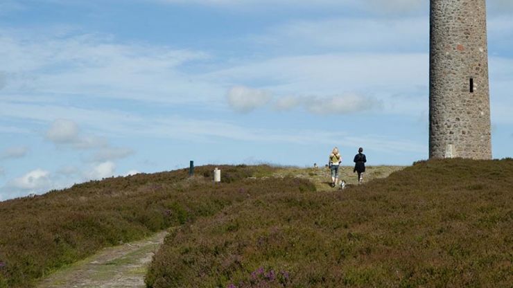 The March Trail Scolty.jpg