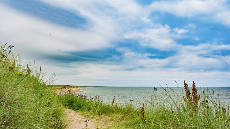 Aberdeen-Beach.jpg