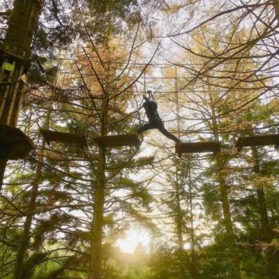 Go Ape Aberfoyle