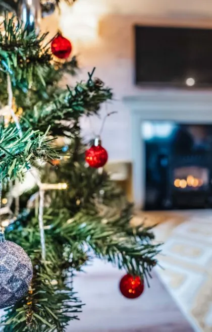 Festive Breaks in Scotland | Mobile Banner