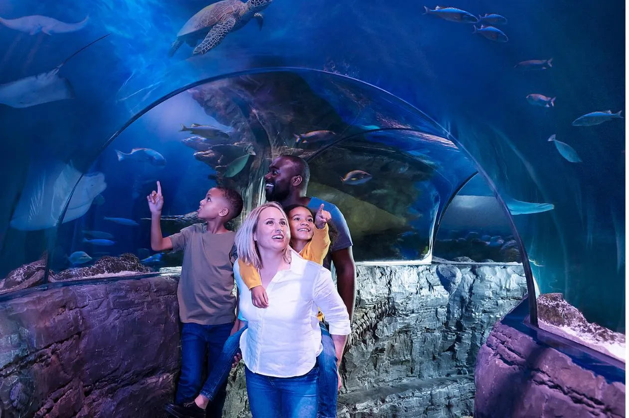 Sea Life Centre, Loch Lomond Shores
