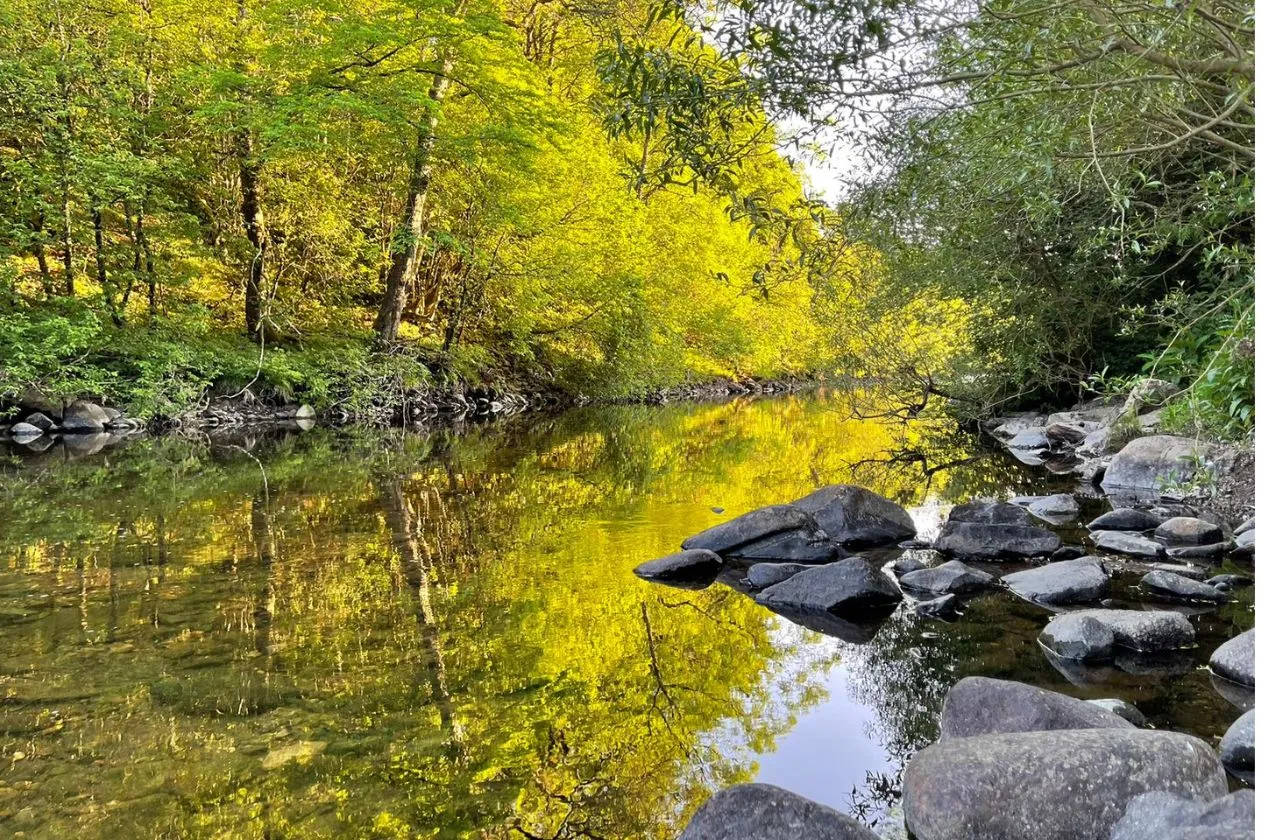 The River Ardle