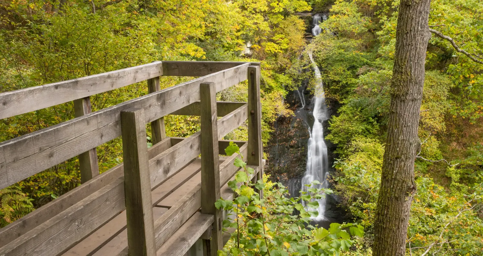 Black Spout Waterfall