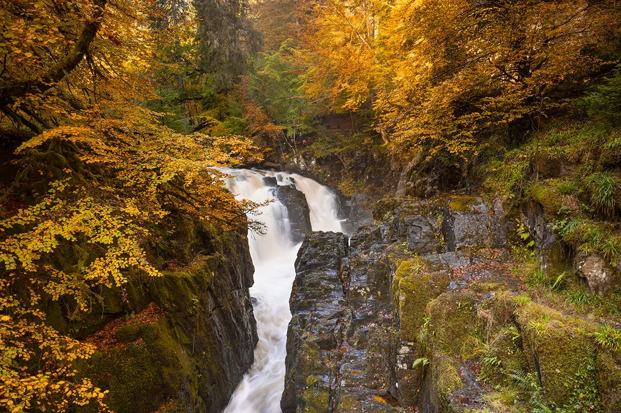 Black Linn Falls, The Hermitage