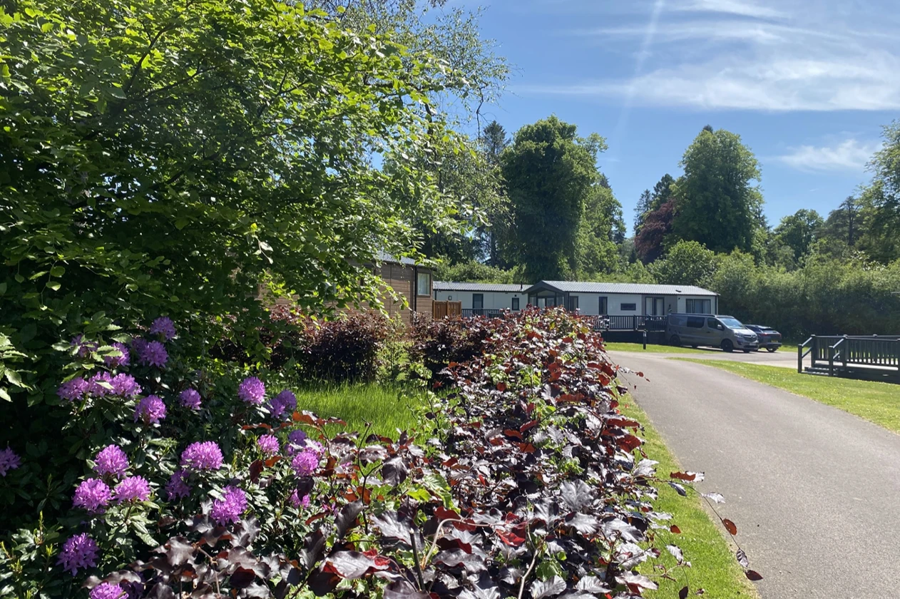 May Half Term Breaks Scotland